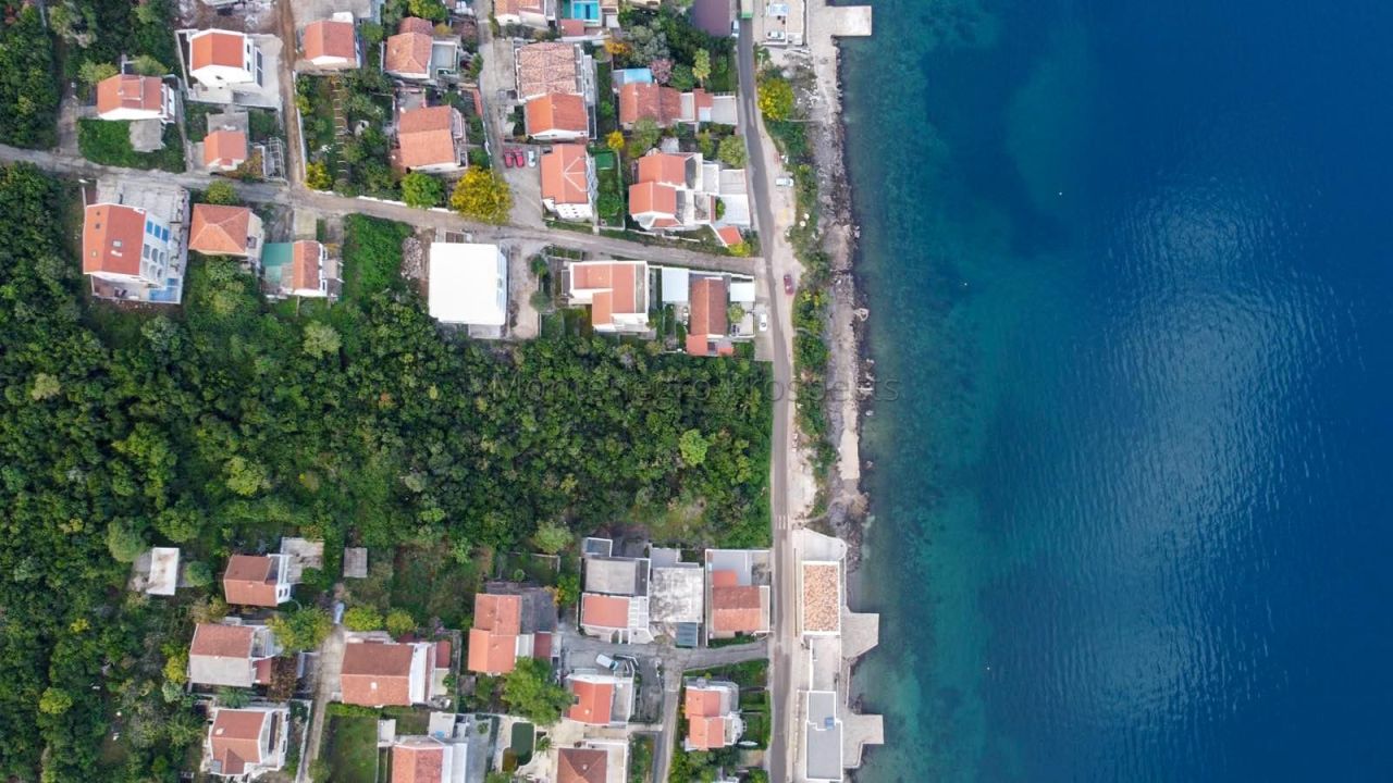 Terreno a Krasici, Montenegro, 12 501 m2 - foto 4