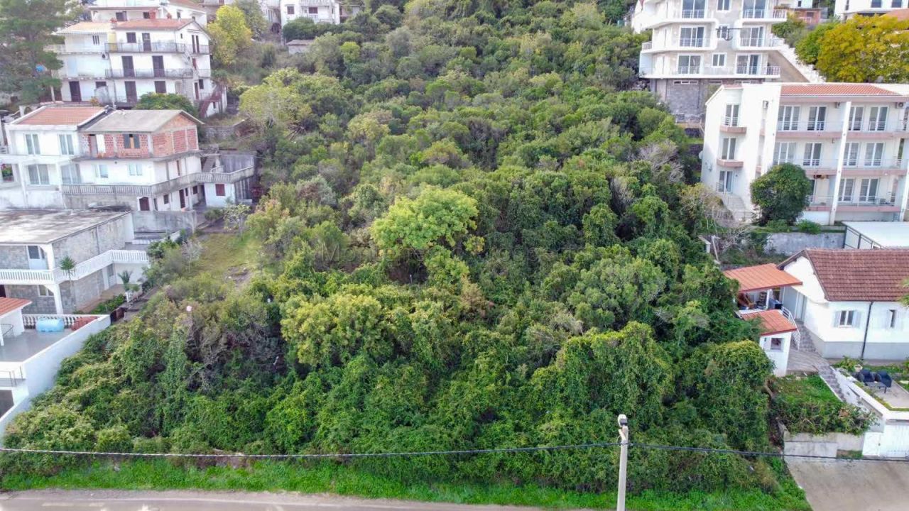 Terreno a Krasici, Montenegro, 12 501 m2 - foto 7