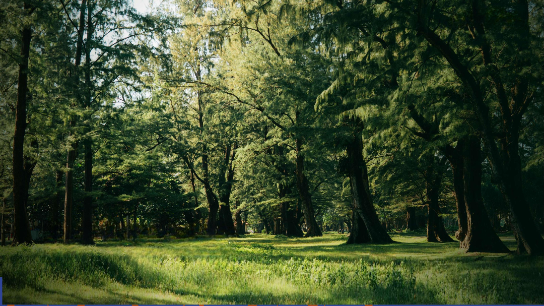 Apartment on Phuket Island, Thailand, 35 m² - picture 13