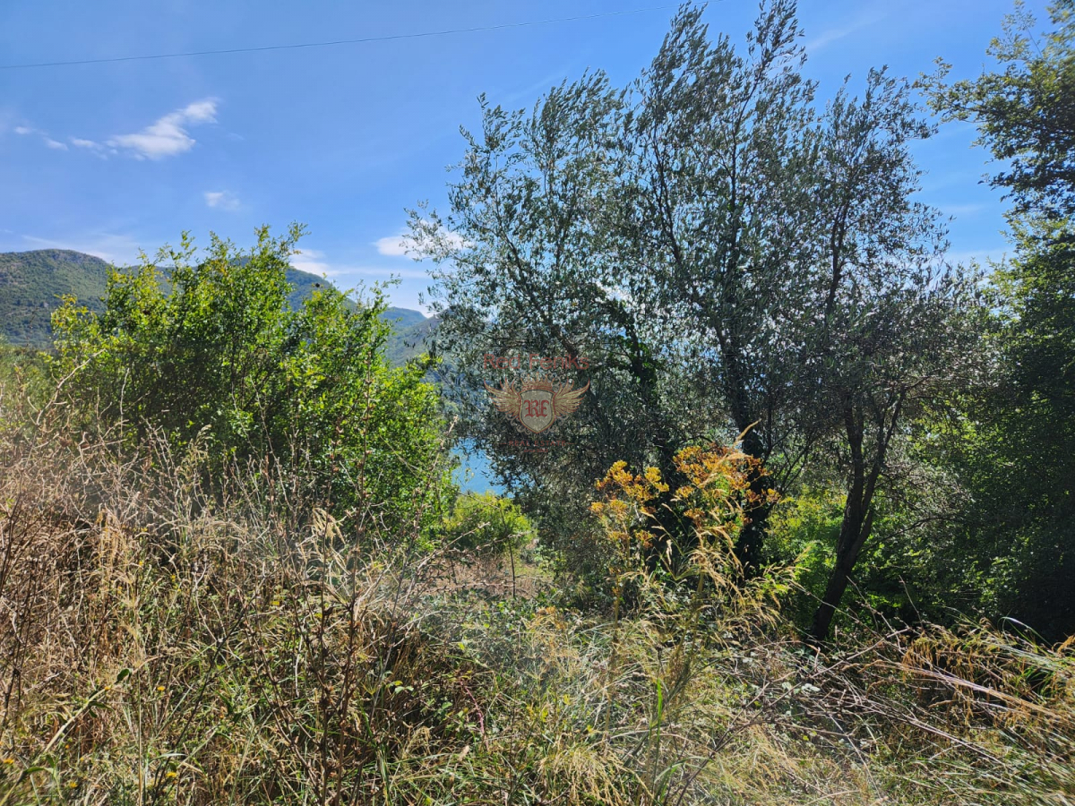 Grundstück in Herceg-Novi, Montenegro, 750 m² - Foto 4