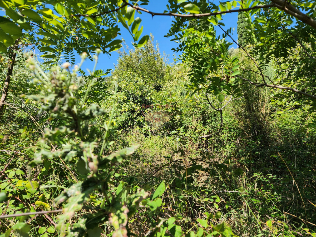 Grundstück in Herceg-Novi, Montenegro, 750 m² - Foto 5