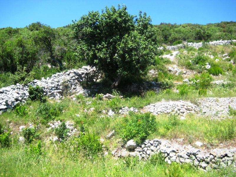 Grundstück in Bigovo, Montenegro, 3 268 m² - Foto 2