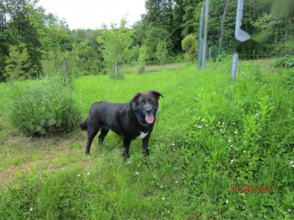 Casa a Opatija, Croazia, 406 m² - foto 9