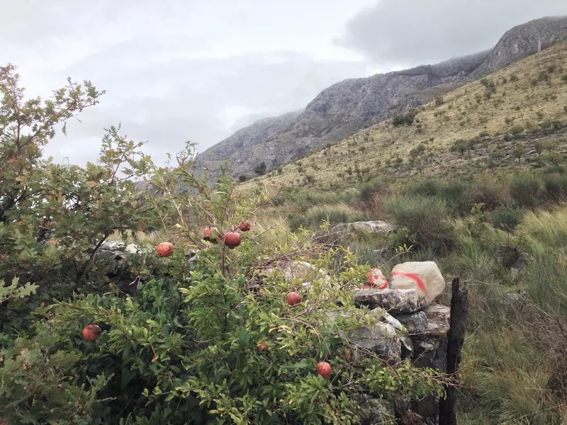Terreno a Rezevici, Montenegro, 1 048 m2 - foto 7