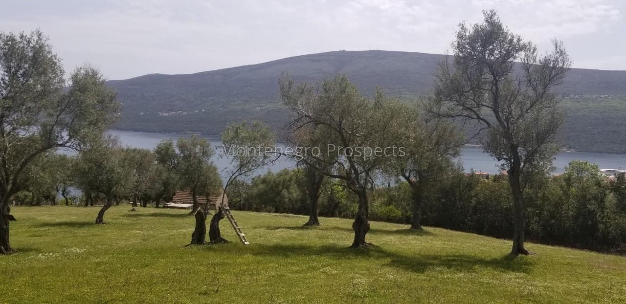 Grundstück in Denovici, Montenegro, 7 560 m² - Foto 5