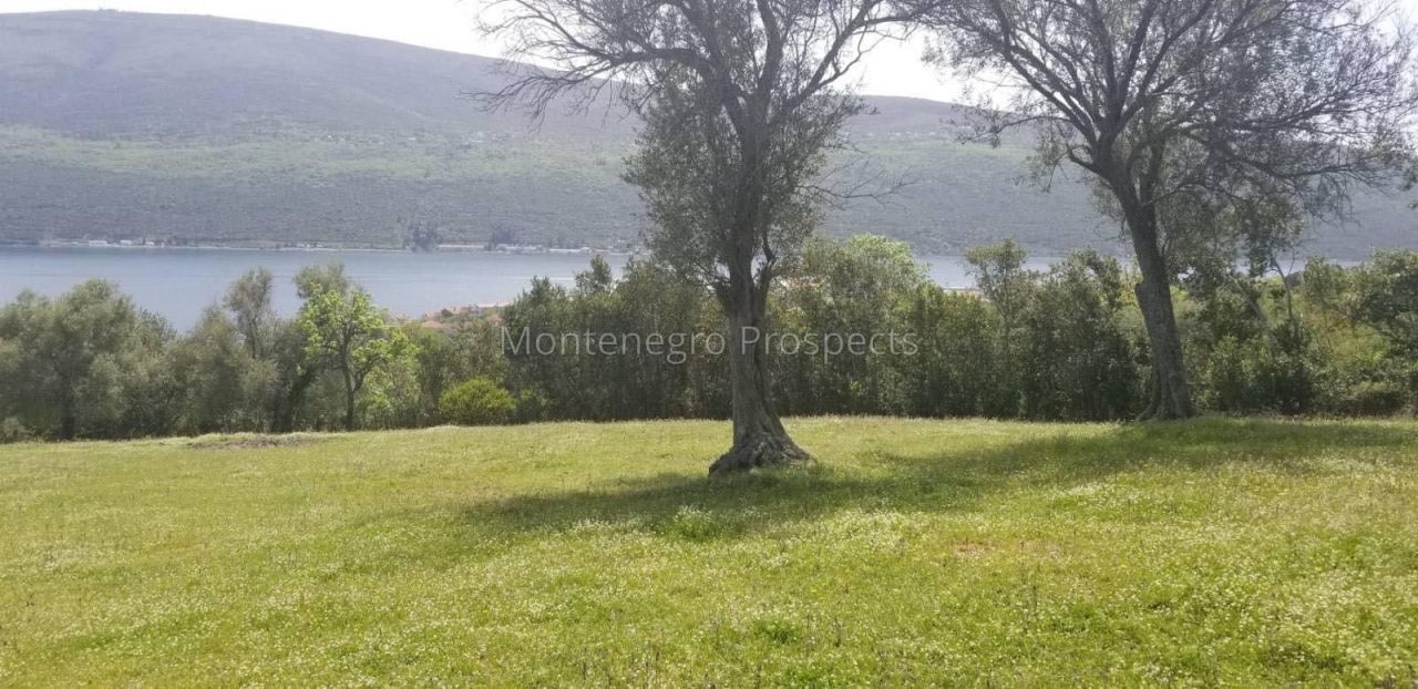 Grundstück in Denovici, Montenegro, 7 560 m² - Foto 1