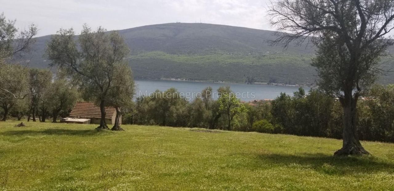 Grundstück in Denovici, Montenegro, 7 560 m² - Foto 4