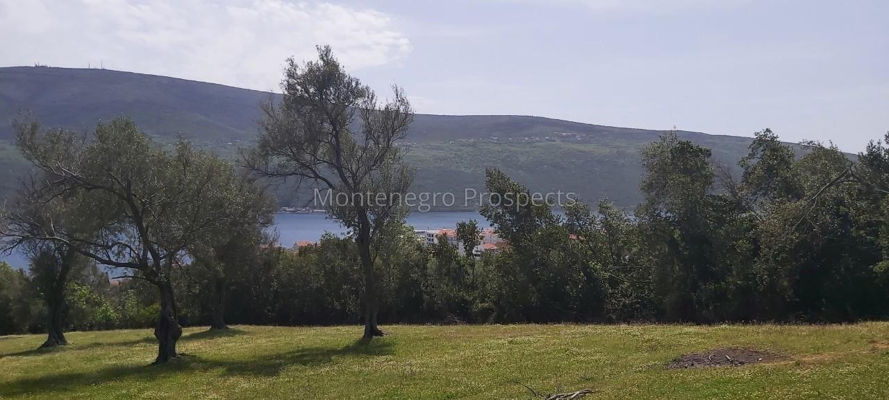 Grundstück in Denovici, Montenegro, 7 560 m² - Foto 3