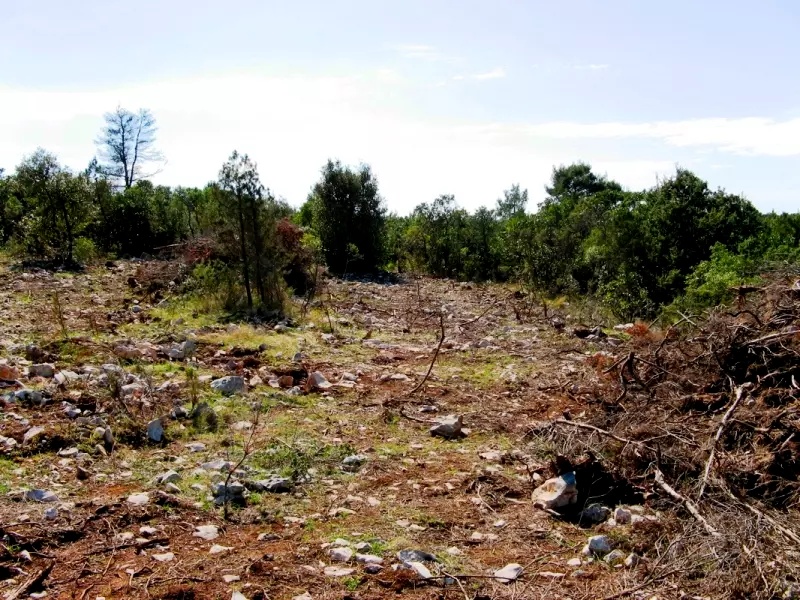 Grundstück in Zanjic, Montenegro, 3 800 m² - Foto 2