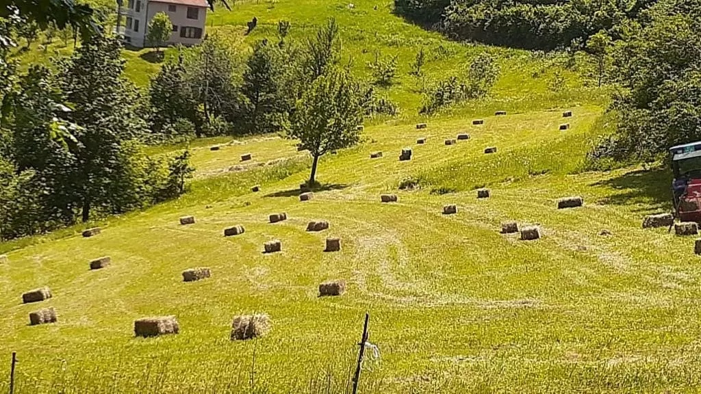 Terreno a Mojkovac, Montenegro, 166 613 m2 - foto 1