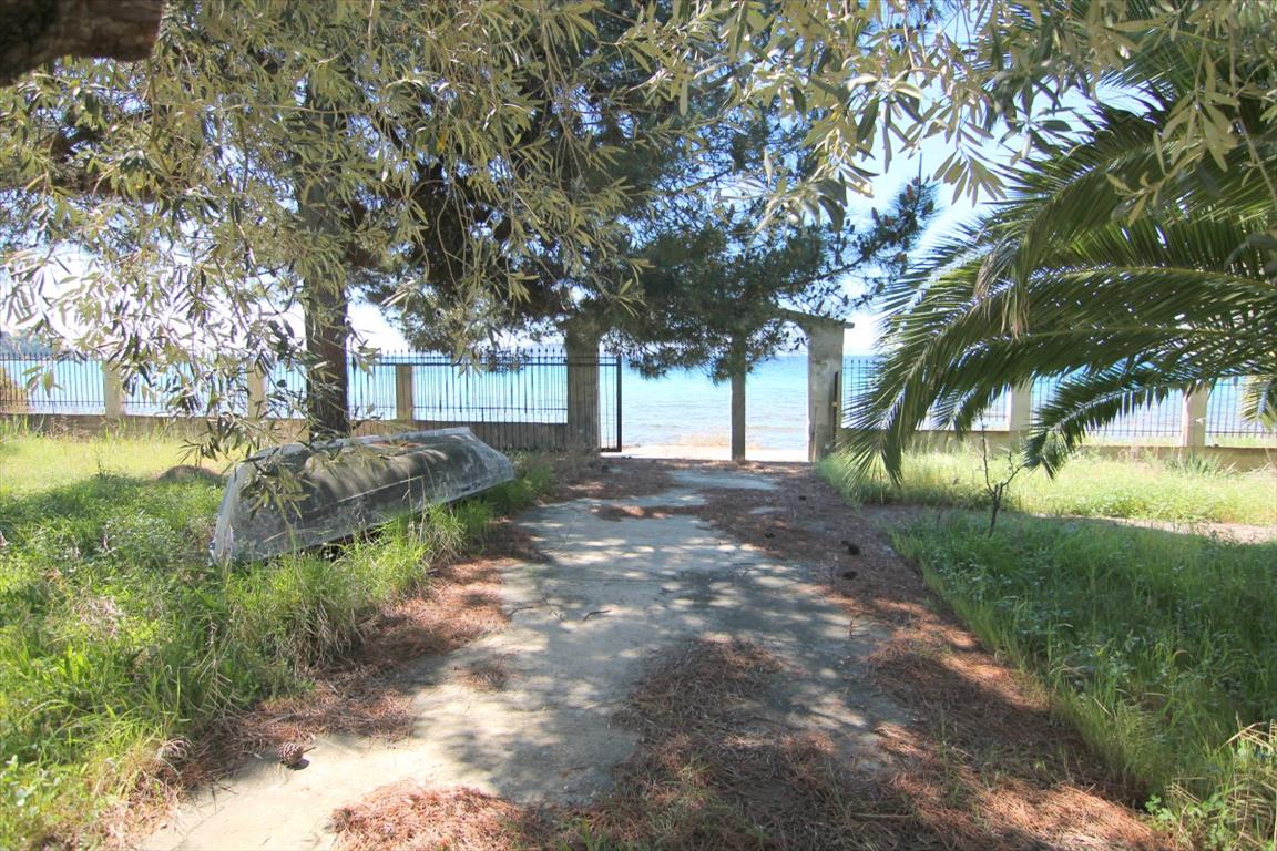 Haus in Sithonia, Griechenland, 145 m² - Foto 14