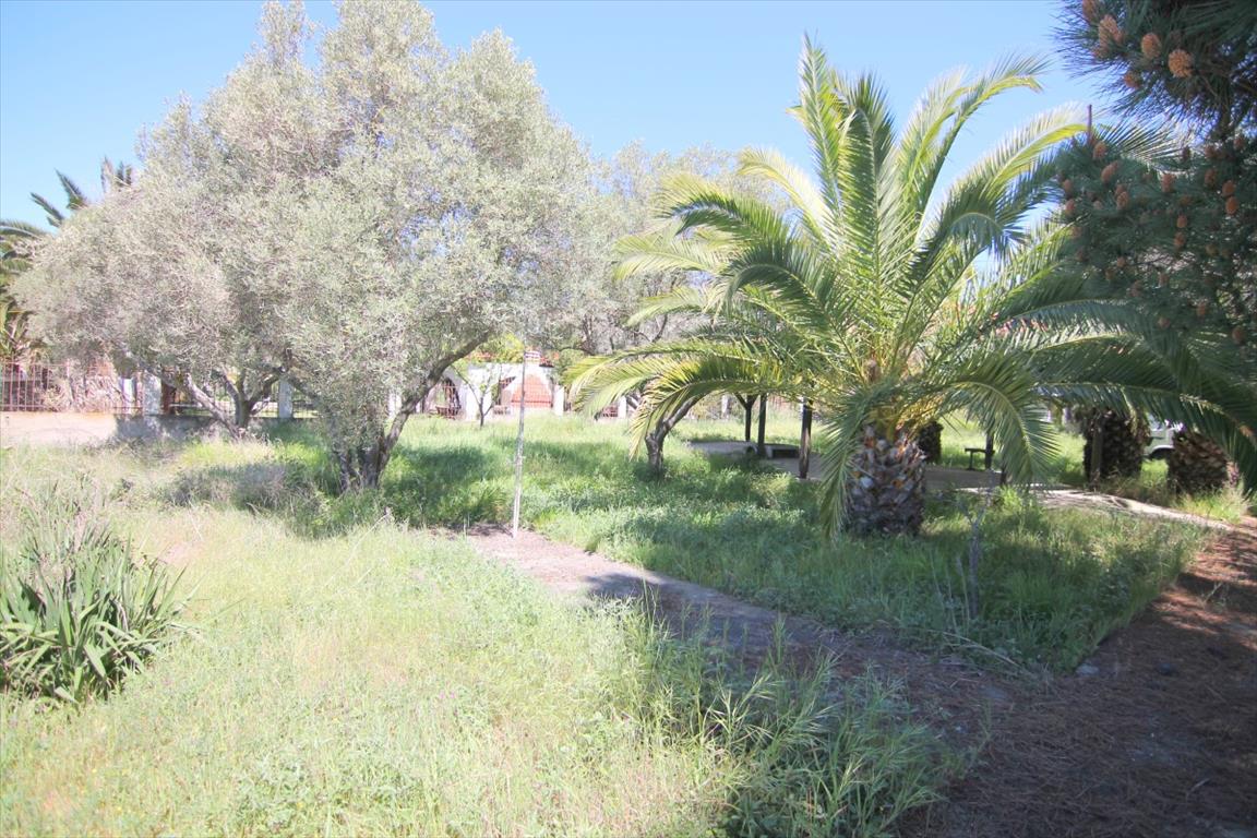 Haus in Sithonia, Griechenland, 145 m² - Foto 16