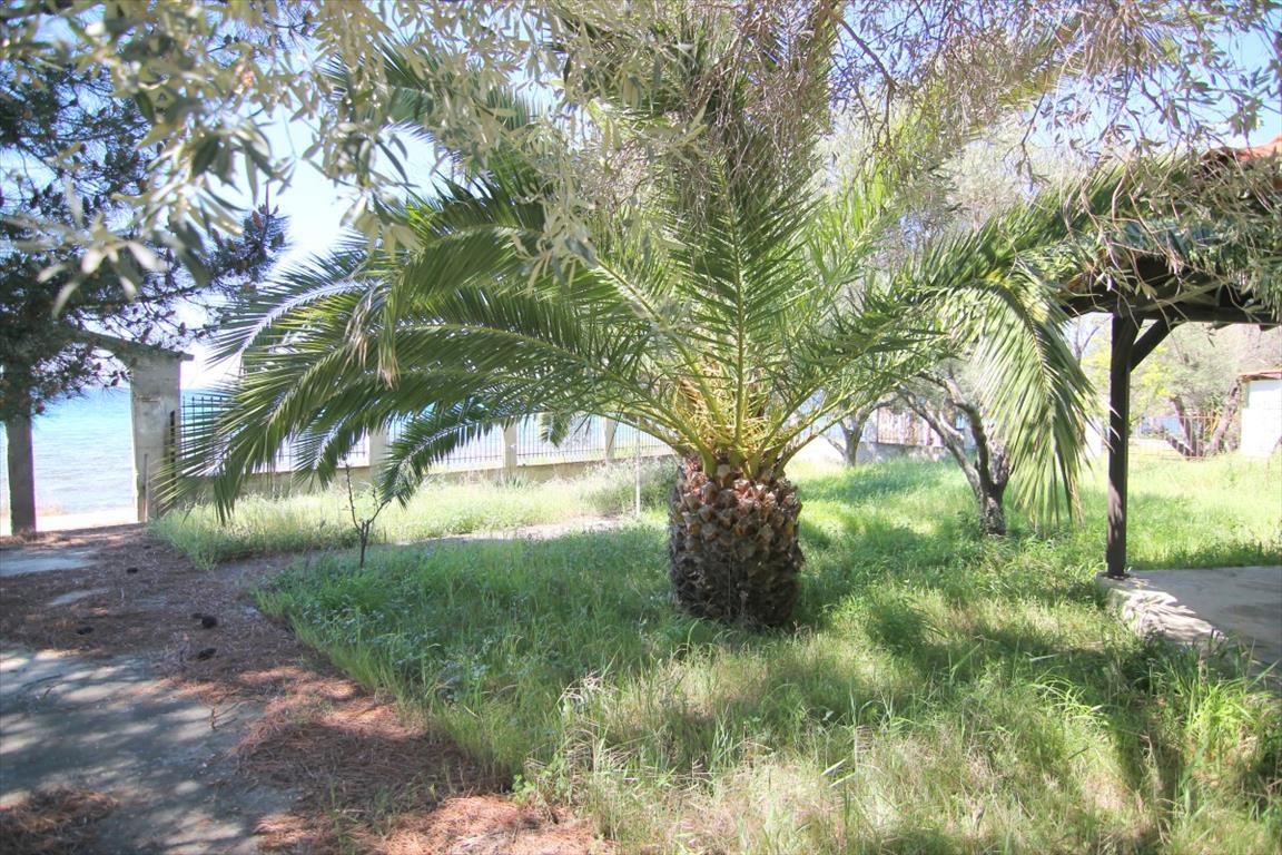 Haus in Sithonia, Griechenland, 145 m² - Foto 17