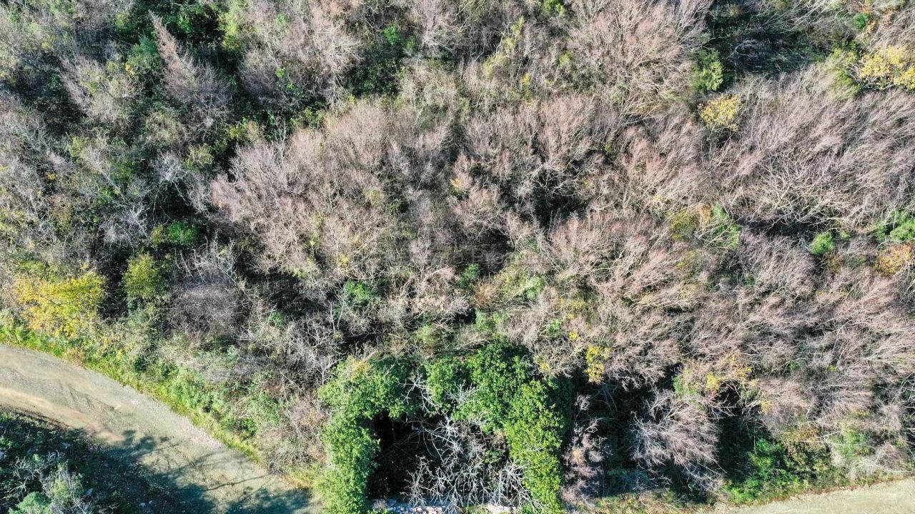 Terreno a Buljarica, Montenegro, 9 477 m2 - foto 6