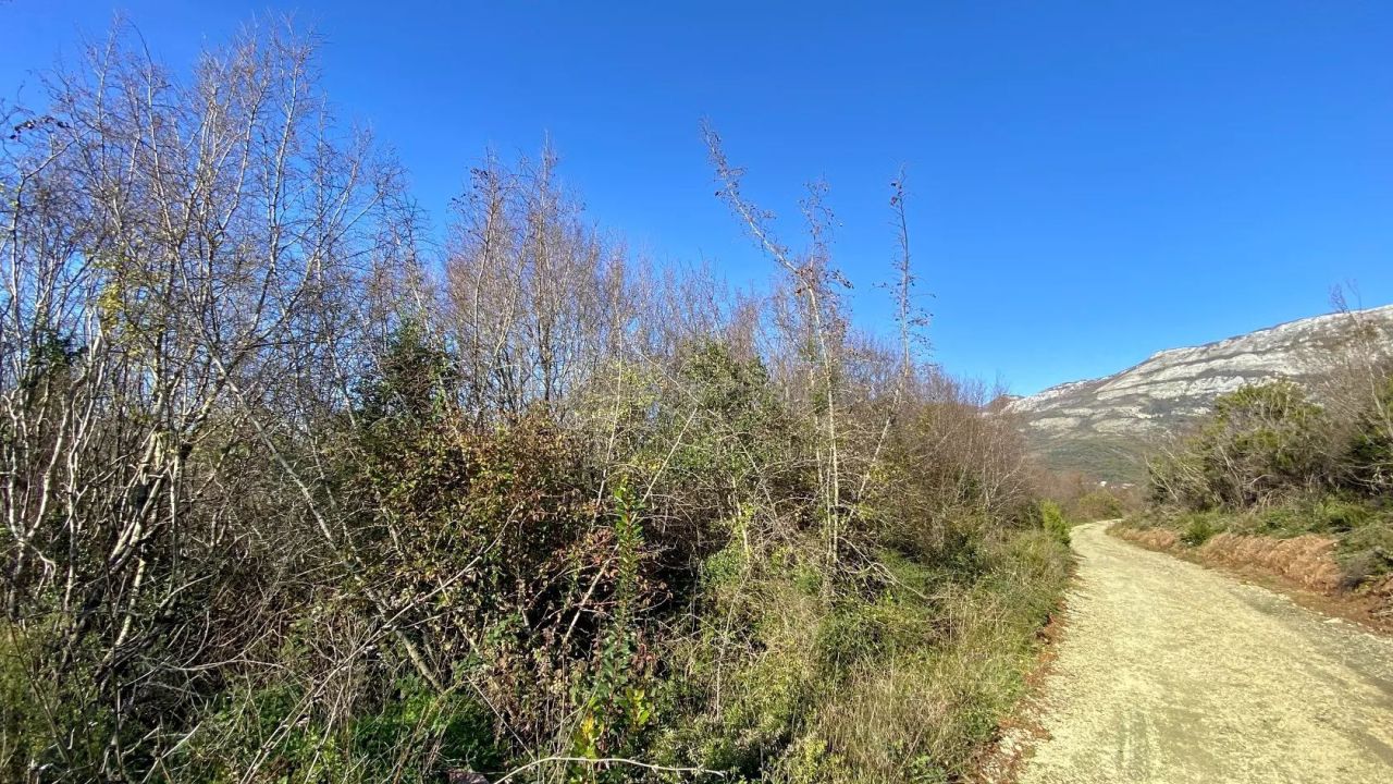 Terreno a Buljarica, Montenegro, 9 477 m2 - foto 5