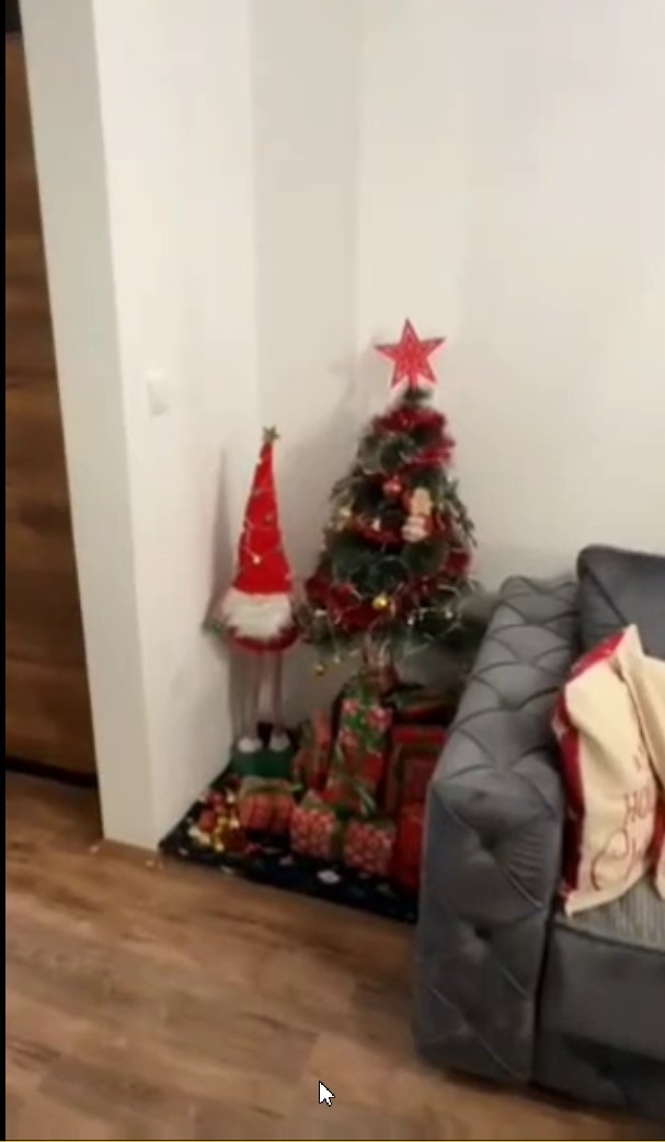 Wohnung in Zlatibor, Serbien, 38 m² - Foto 10