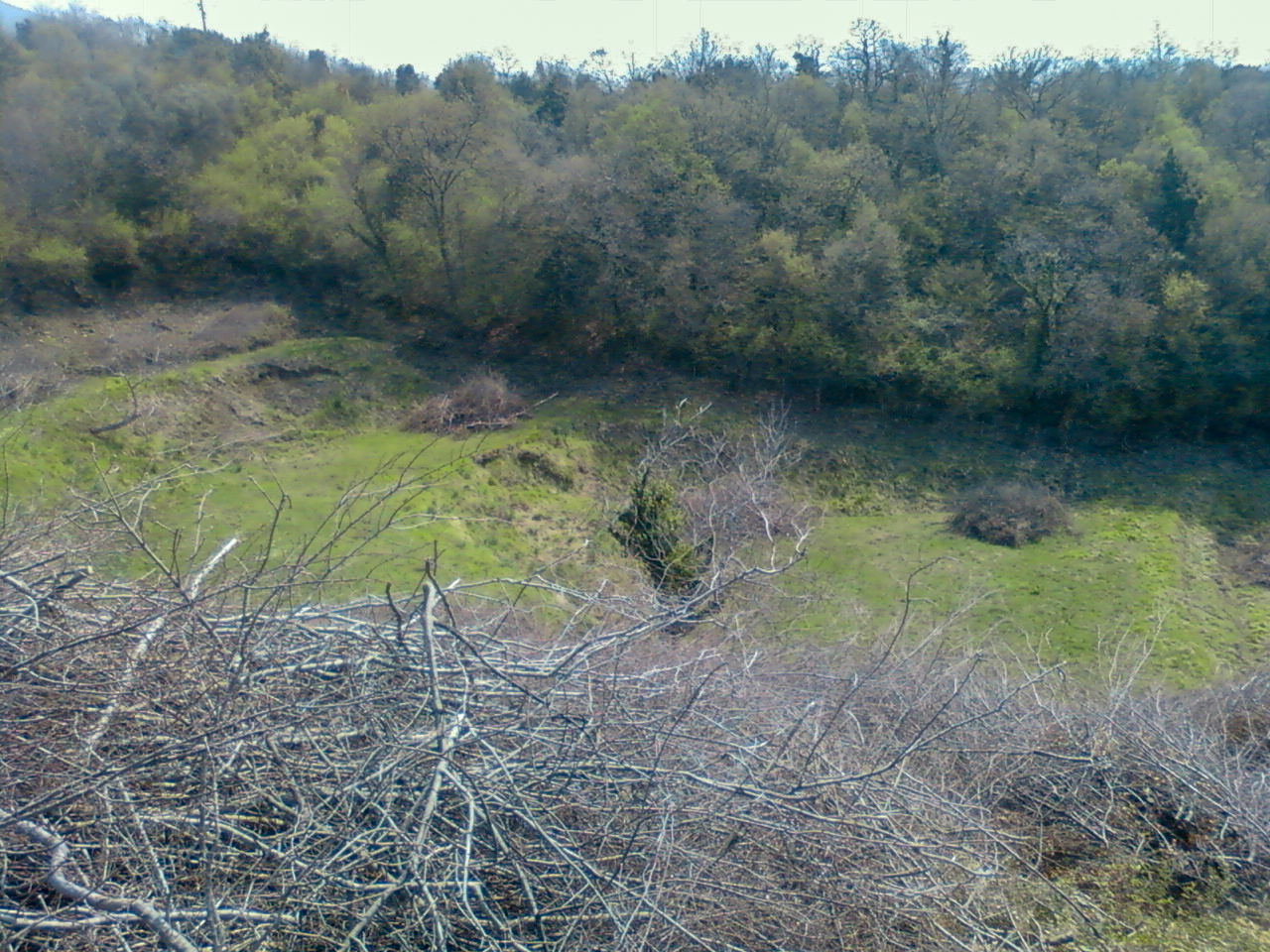 Terreno a Ulcinj, Montenegro, 14 767 m2 - foto 8