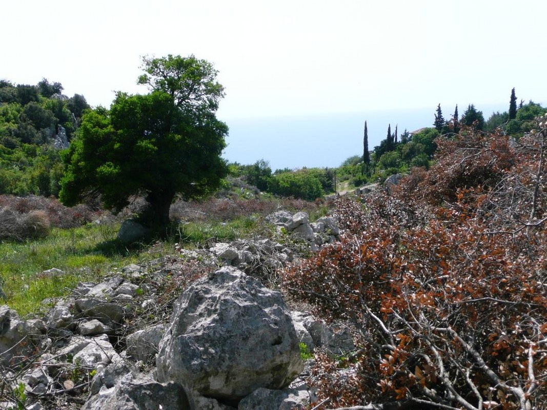 Grundstück in Dobrota, Montenegro, 53 833 m² - Foto 4