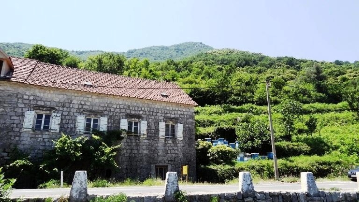 Grundstück in Kostanjica, Montenegro, 12 443 m² - Foto 3