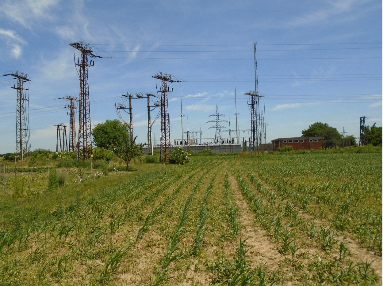 Terrain Kapuvár, Hongrie, 105 000 m² - image 2