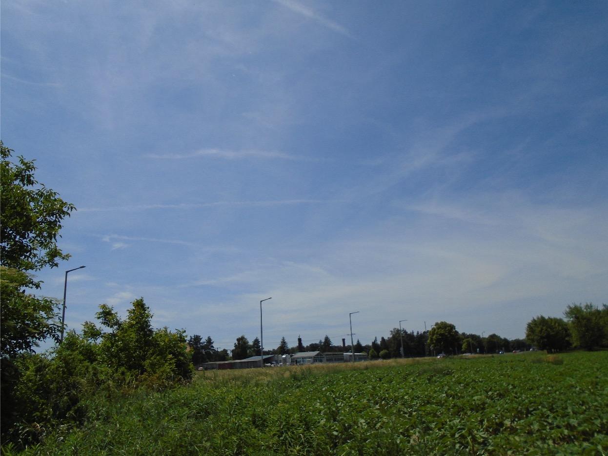 Terrain Kapuvár, Hongrie, 105 000 m² - image 5