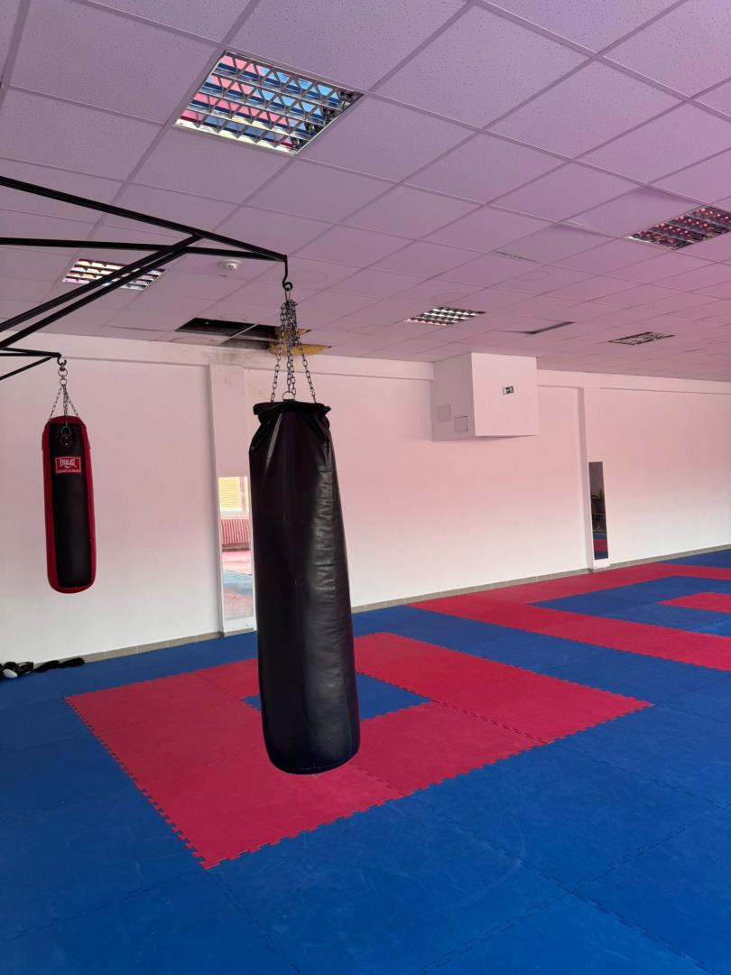 Boutique Csorna, Hongrie, 3 952 m² - image 8