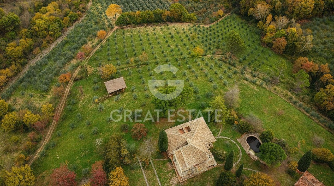 Villa à Cannara, Italie, 498.2 m² - image 4