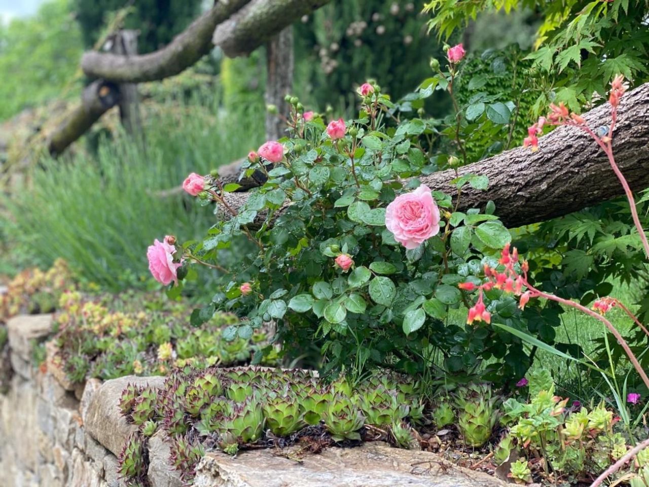 Villa Groznjan, Croacia, 339 m² - imagen 14