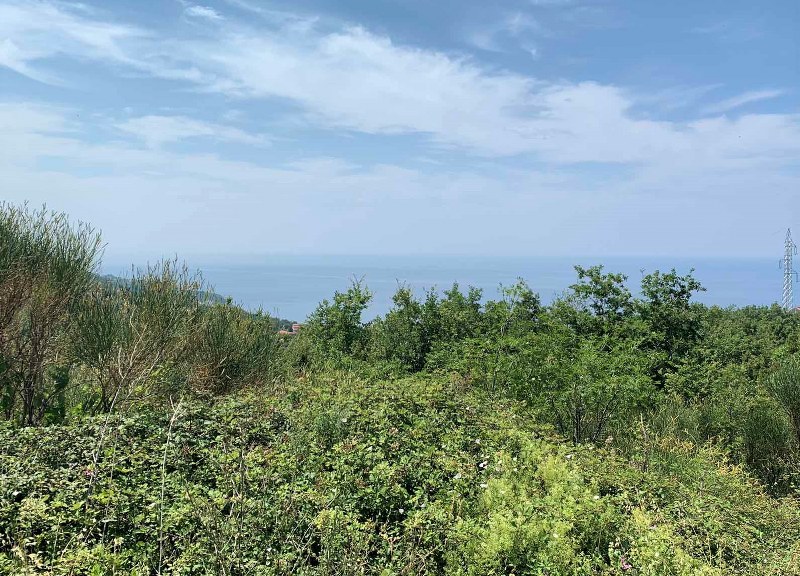 Terreno en Blizikuce, Montenegro, 5 343 m² - imagen 3