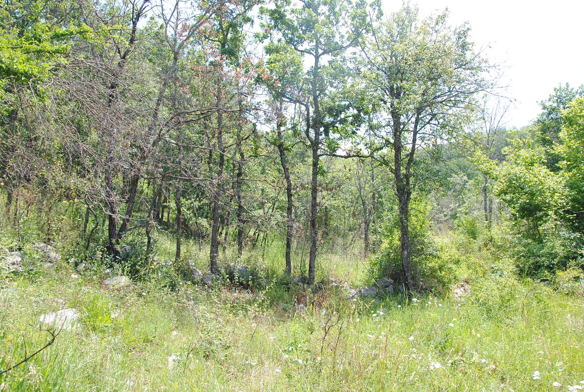 Terreno en Nikšić, Montenegro, 797 162 m² - imagen 13