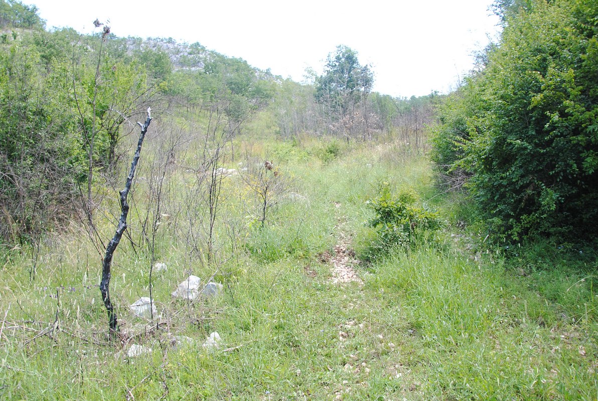 Terreno en Nikšić, Montenegro, 797 162 m² - imagen 12