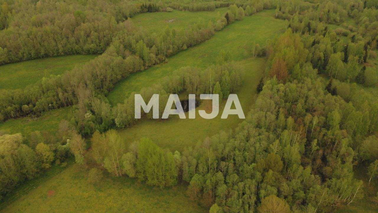 House Pelēči, Latvia, 170 m² - picture 4