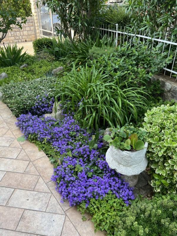 Villa en Umag, Croacia, 243 m² - imagen 7