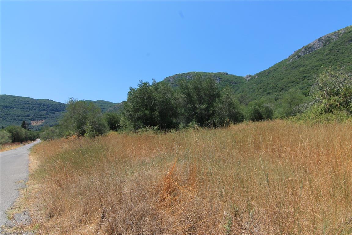 Terreno a Corfù, Grecia, 7 000 m2 - foto 3