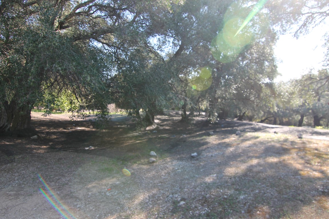 Terrain à Corfou, Grèce, 11 000 m² - image 14