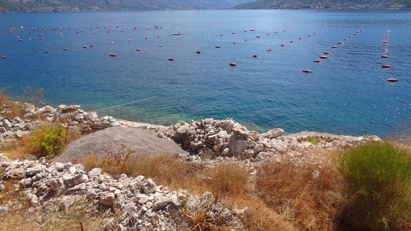 Terreno en Perast, Montenegro, 7 943 m² - imagen 6