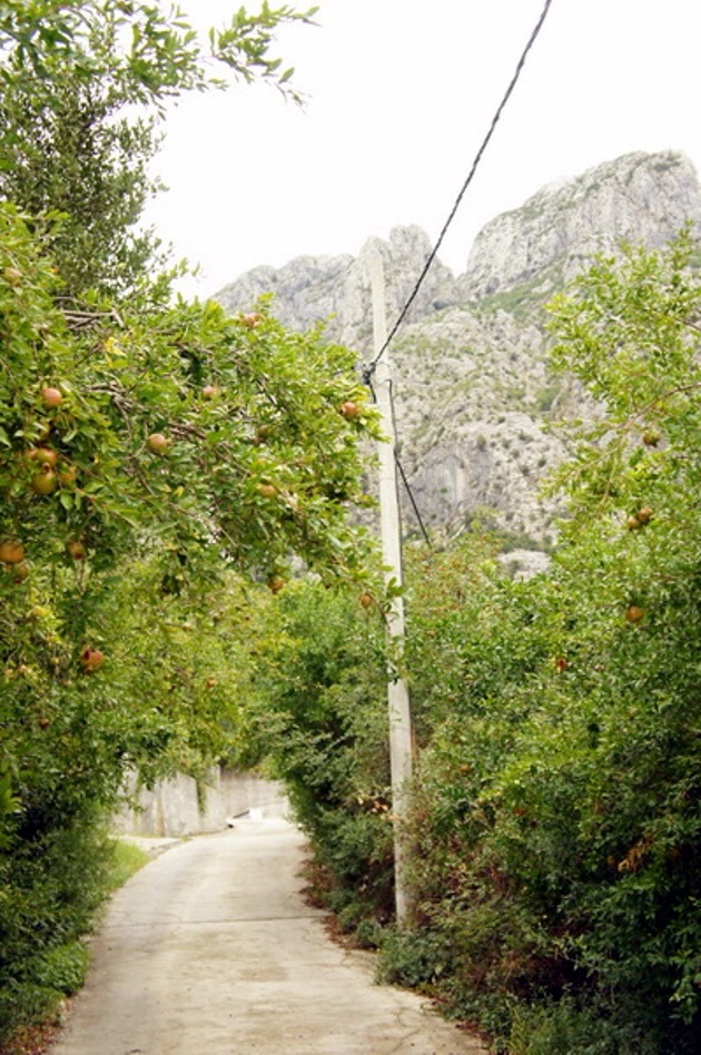 Terreno en Orahovac, Montenegro, 5 450 m² - imagen 8