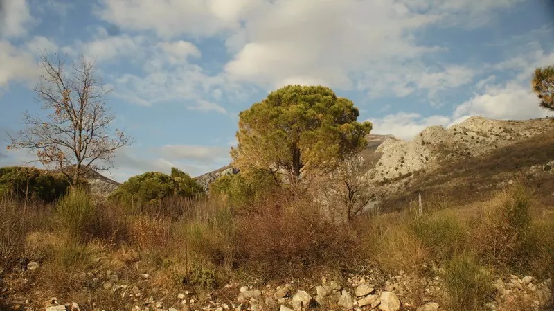 Terreno en Sutomore, Montenegro, 5 338 m² - imagen 6