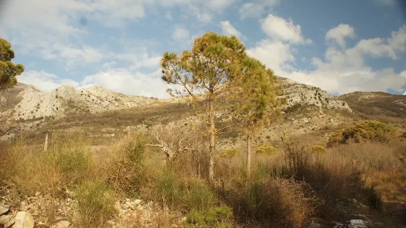 Terreno en Sutomore, Montenegro, 5 338 m² - imagen 2