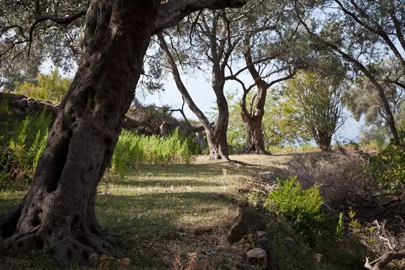 Grundstück in Bar, Montenegro, 8 697 m² - Foto 12