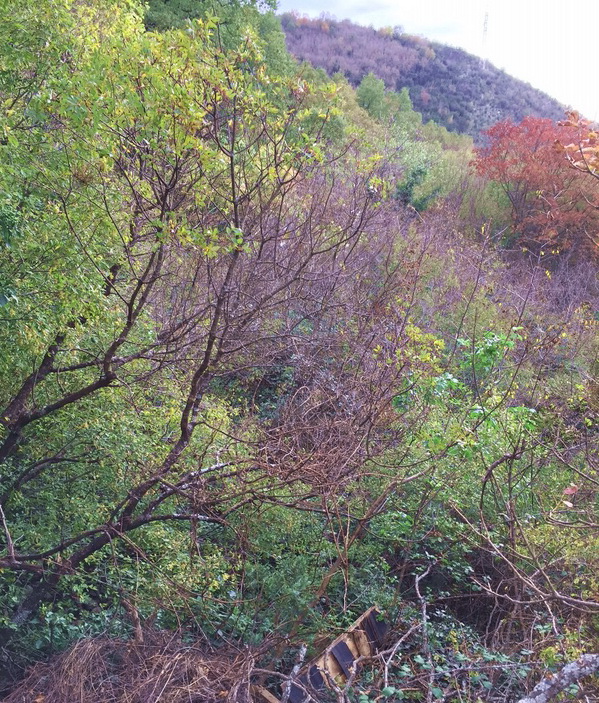 Grundstück in Kuljace, Montenegro, 16 971 ar - Foto 7