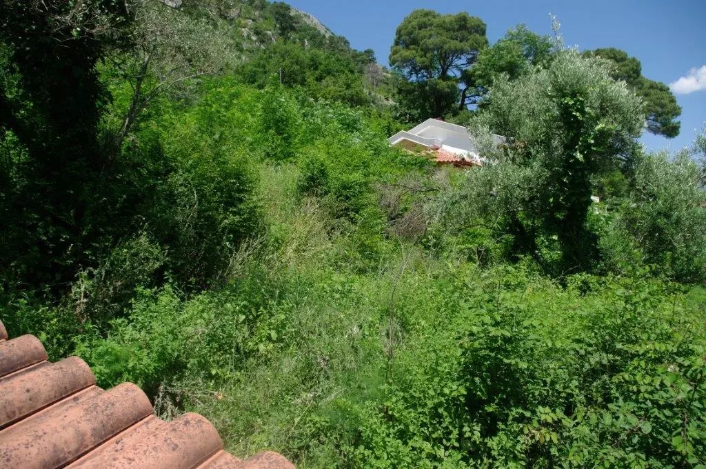 Terreno a Muo, Montenegro, 1 632 m2 - foto 4