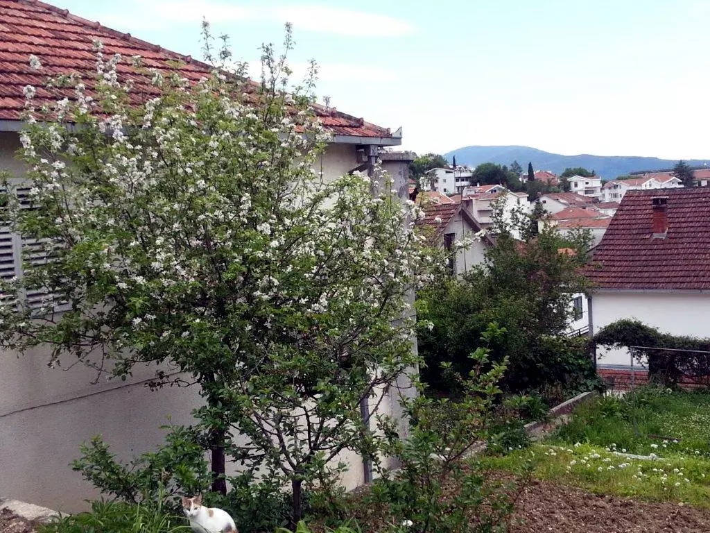 Terreno en Herceg-Novi, Montenegro, 533 m² - imagen 3