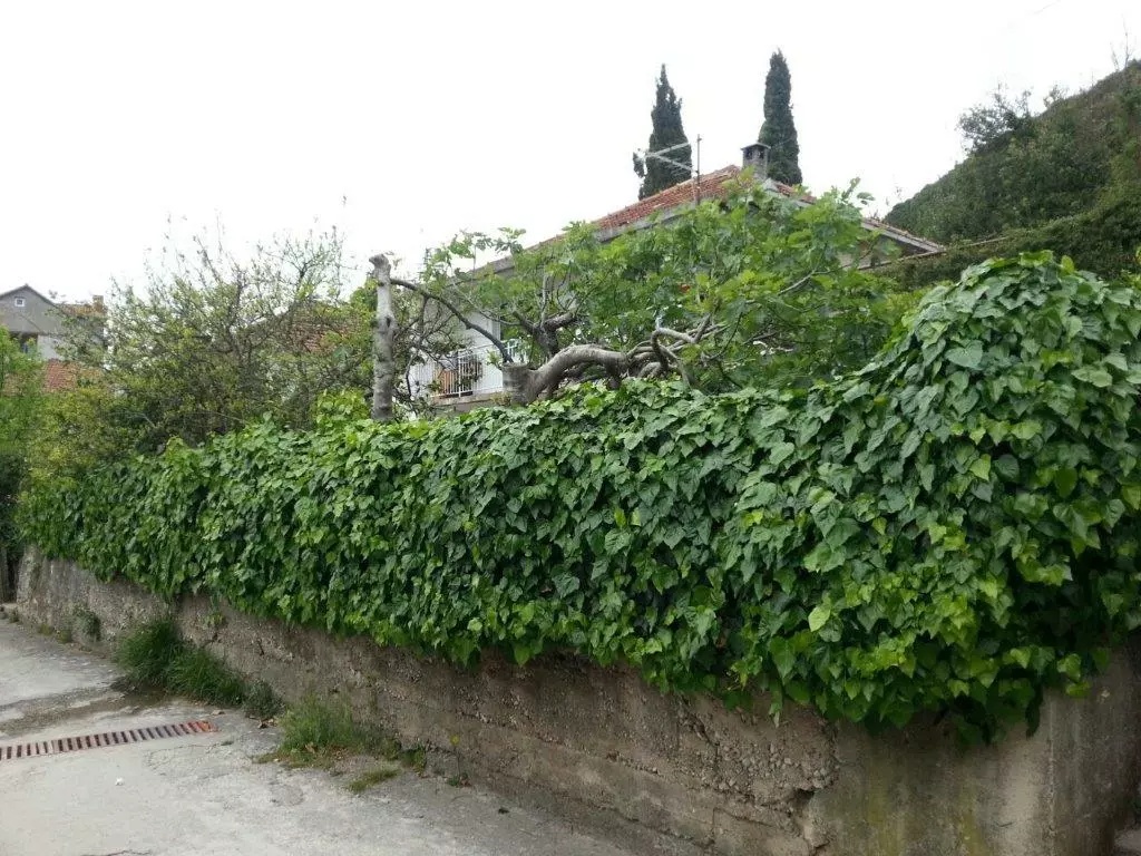 Terreno en Herceg-Novi, Montenegro, 533 m² - imagen 6