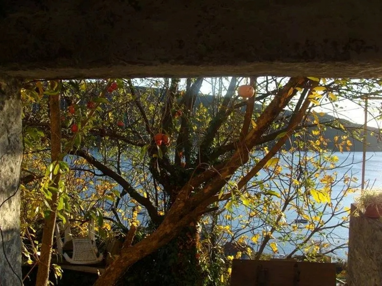 Grundstück in Baosici, Montenegro, 2 750 m² - Foto 9