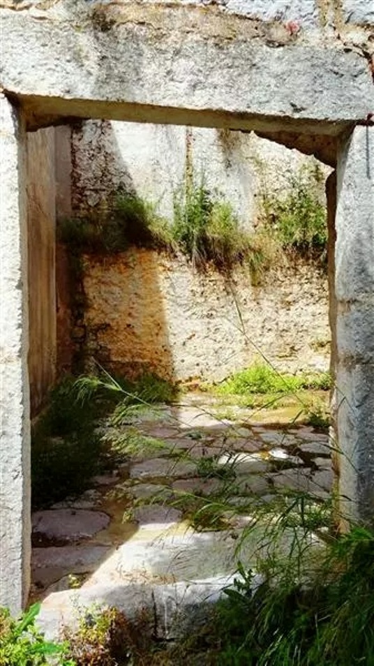 Grundstück in Baosici, Montenegro, 2 750 m² - Foto 6