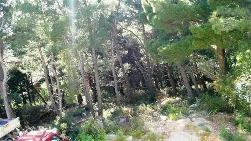 Land in Bar, Montenegro, 2 251 m² - picture 2