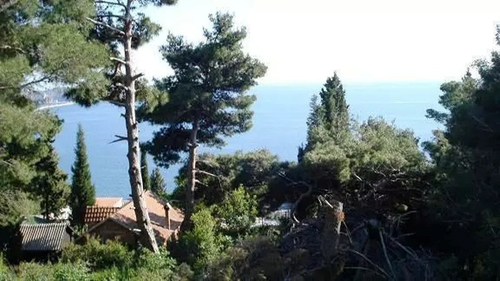 Land in Bar, Montenegro, 2 251 m² - picture 6