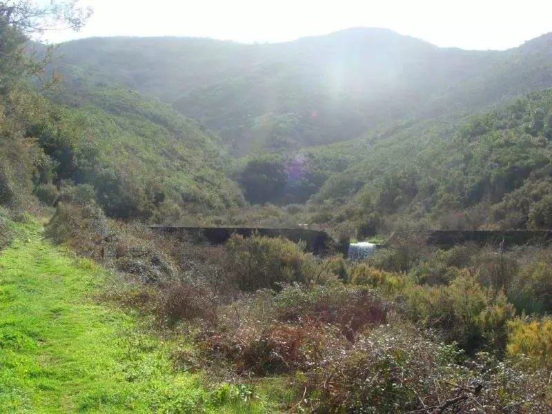 Grundstück in Zelenika, Montenegro, 17 000 m² - Foto 3