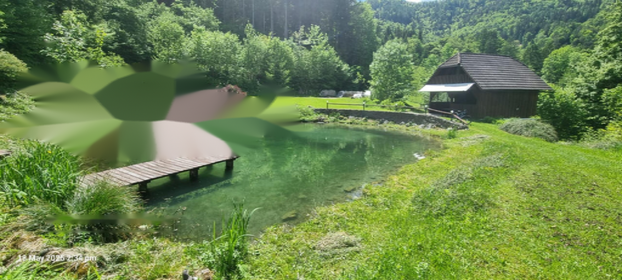 Farm in Dravograd, Slowenien, 105 872 m² - Foto 1